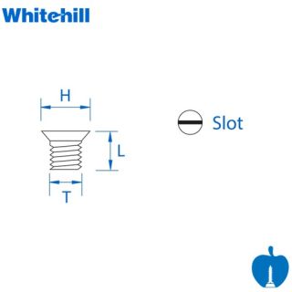 Whitehill M5 X 5mm x 8mm Spur Tip T25 Screw Slotted Head 