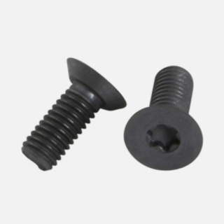 M5 x 6 Countersunk Torx Screw T20 Head